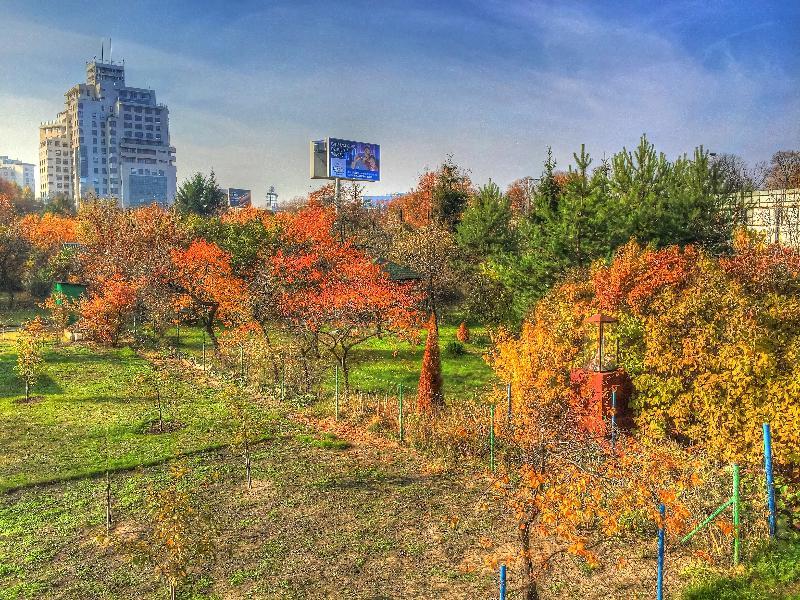 P&O Apartments Arkadia 14 Varşova Dış mekan fotoğraf